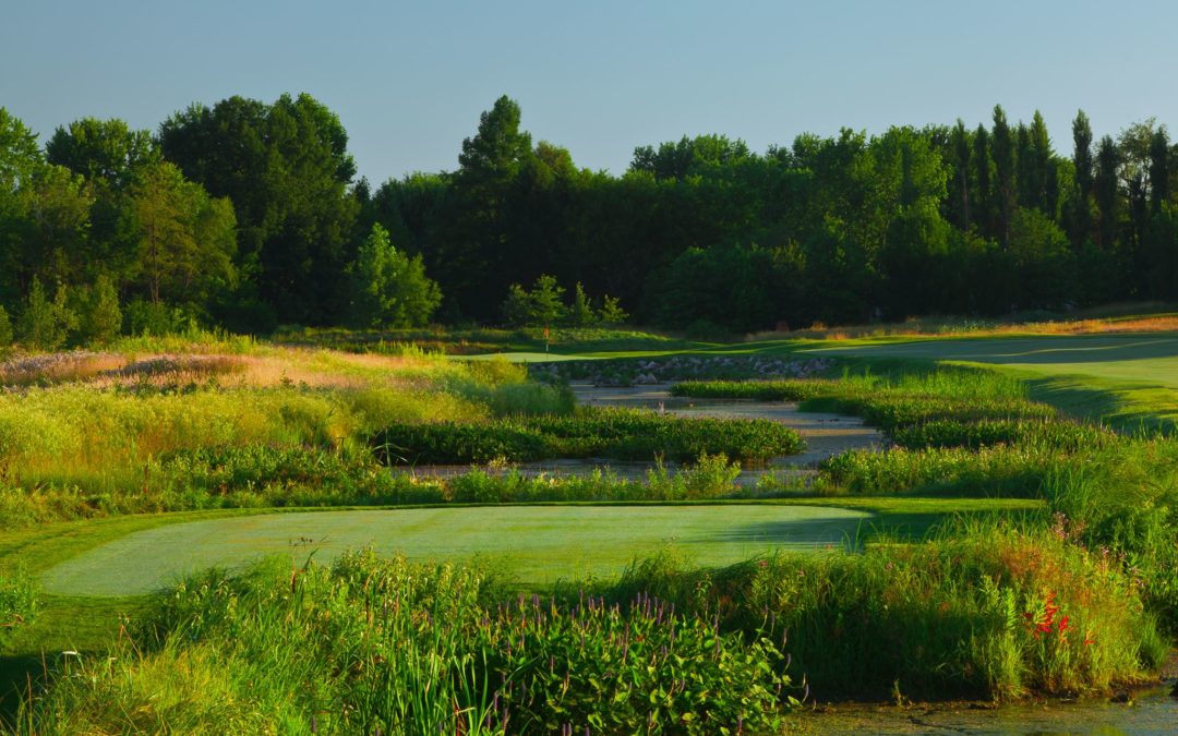 Pete Dye Golf Trail: Birck Boilermaker Golf Club - 18 ...