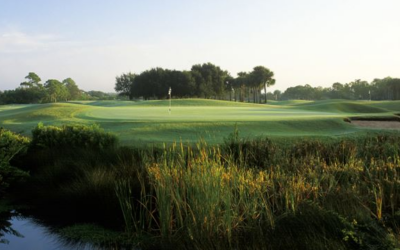 The Bayou Club