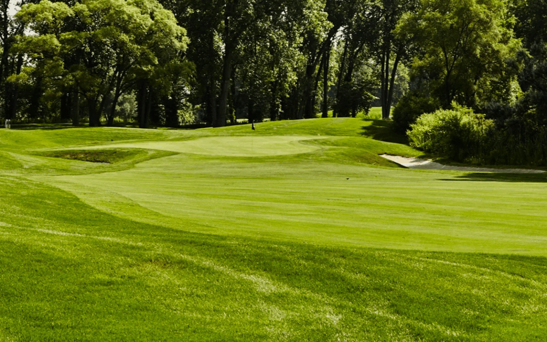 18 Holes | Natalie Gulbis | Jimmy Hanlin | TPC Michigan